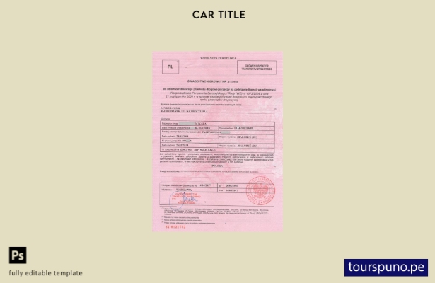 Plantilla de certificado de conductor de Polonia lista para imprimir